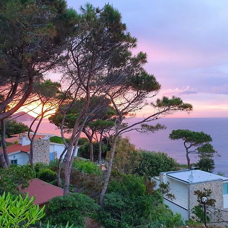 شقة La Terrazza Sul Forno - Goelba بورتوفيرّايو المظهر الخارجي الصورة